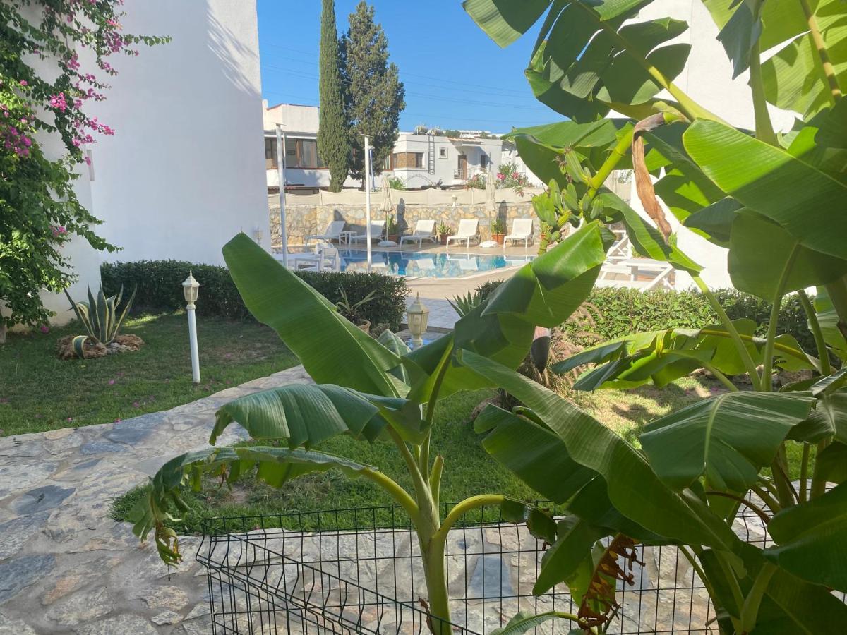Canna Garden Hotel - Adult Only غومْبيت المظهر الخارجي الصورة