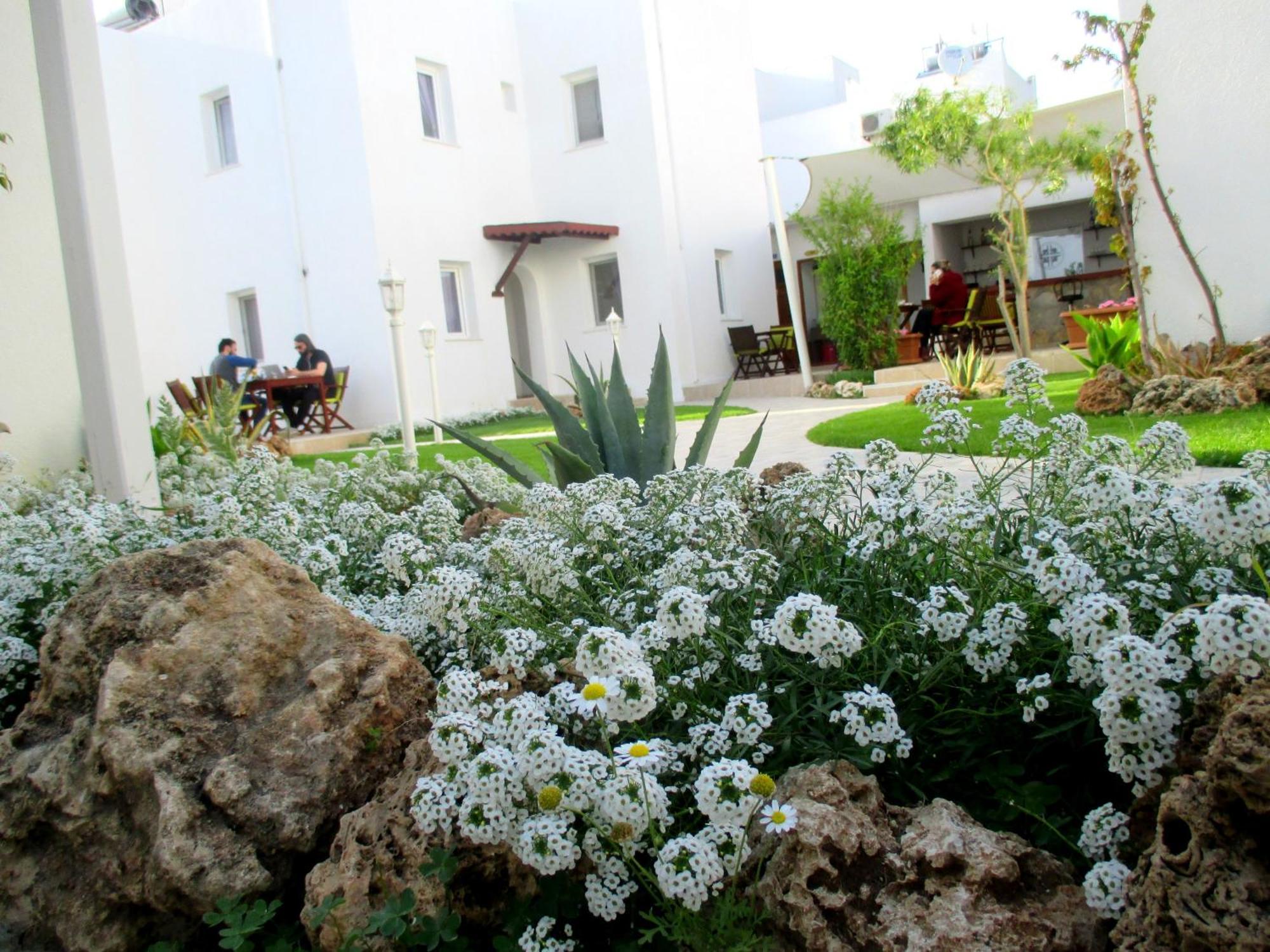 Canna Garden Hotel - Adult Only غومْبيت المظهر الخارجي الصورة